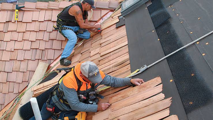 Cedar Shake Roof Maintenance and Mold Prevention USA Guide